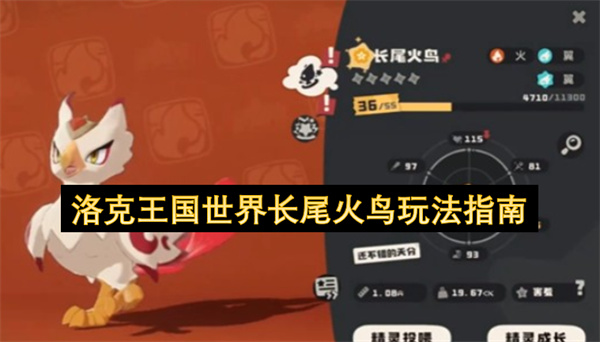 洛克王国长尾火鸟世界玩法全攻略