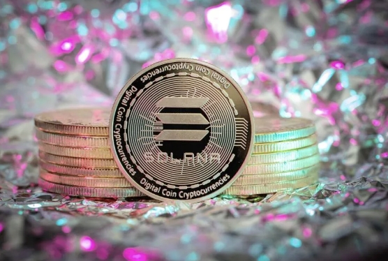 Solana (SOL) 2025年价格预测SOL会超越以太坊成为新的公链之王吗? - 网站