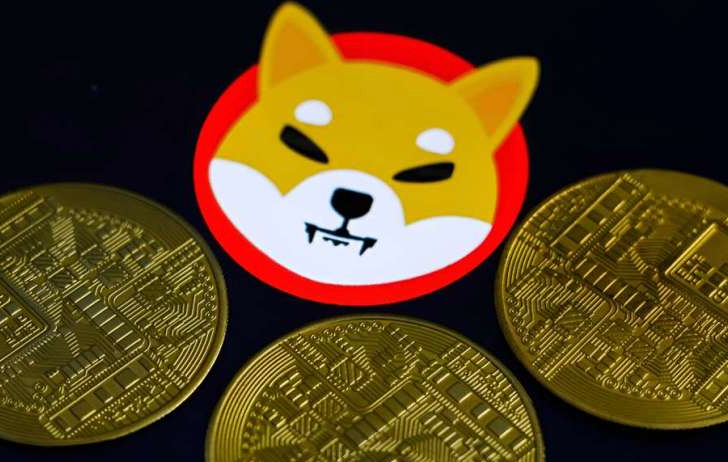 Shiba Inu (SHIB) 2025年基本面分析Shibarium生态能否引爆价格？ - 网站