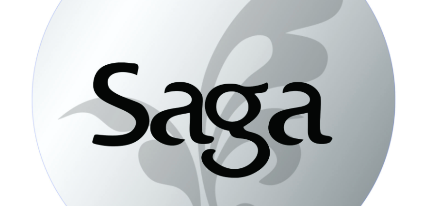 Saga (SAGA) 币是什么？模块化游戏公链的空投与潜力解读