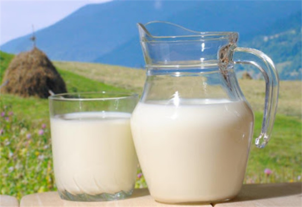 脱脂牛奶比全脂牛奶更健康吗?