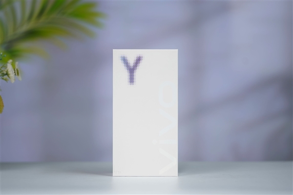 2亿像素旗舰主摄!vivo Y500 Pro图赏