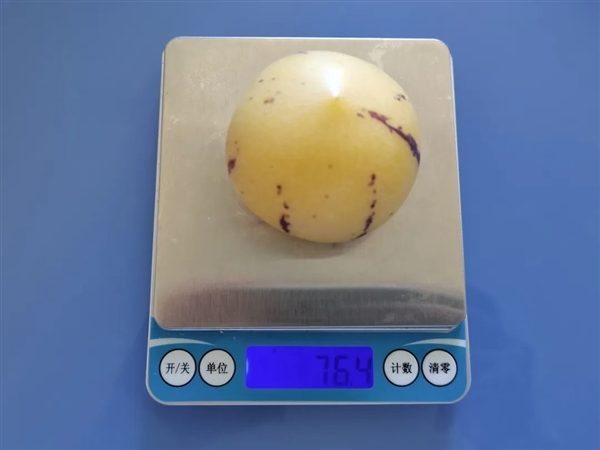 维C是柠檬的3倍！这种水果界的“人参”错过太可惜