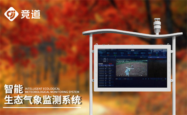 蚂蚁新村11月13日答案更新2025