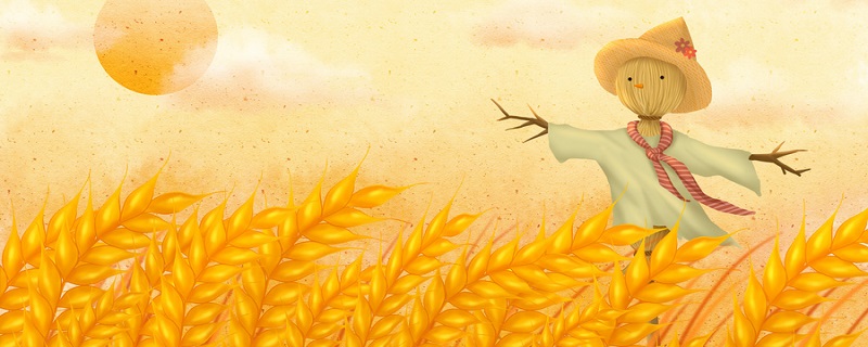 百农607和百农307哪个好 百农607和百农307