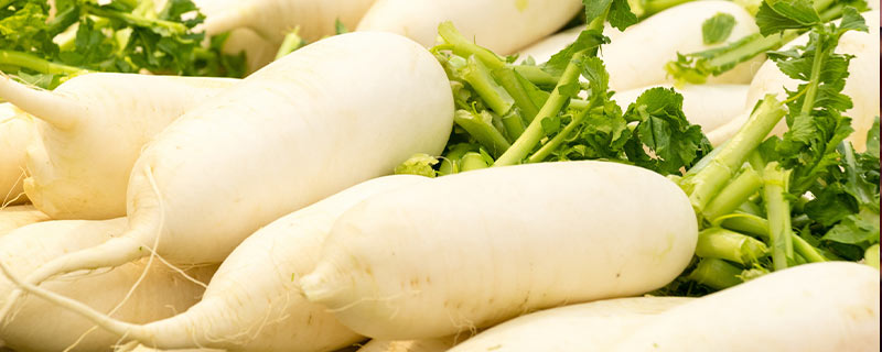 打春吃什么东西,打春吃哪些食物