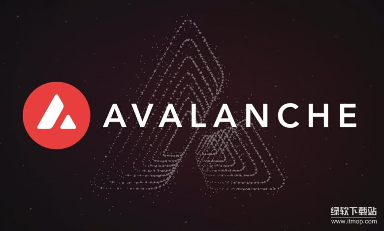 平台链（P-Chain）的功能