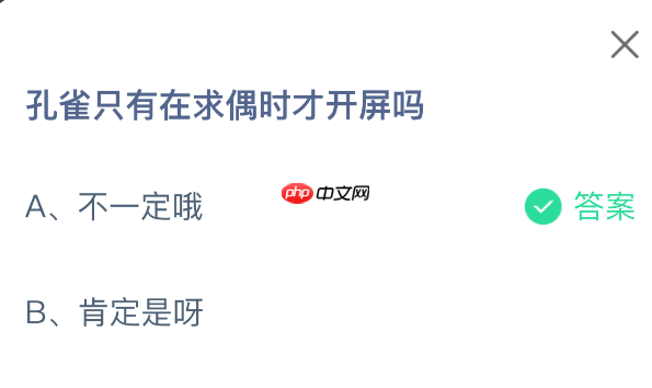 孔雀开屏只为求偶吗