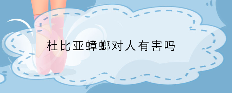 杜比亚蟑螂对人有害吗