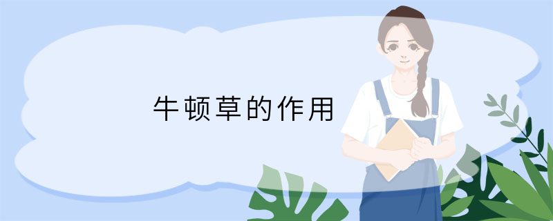 牛顿草的作用