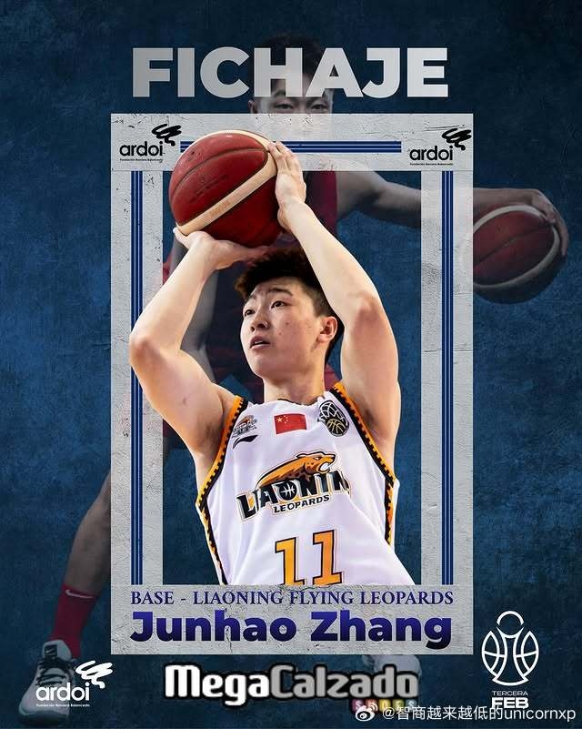 辽篮小将张峻豪登陆西丁！媒体人：该联赛本赛季参赛队140支分5组