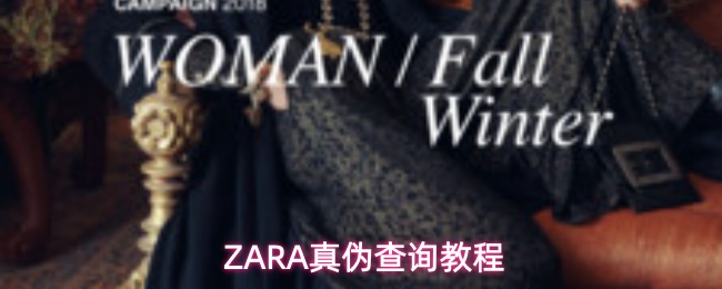 ZARA软件如何验证真伪