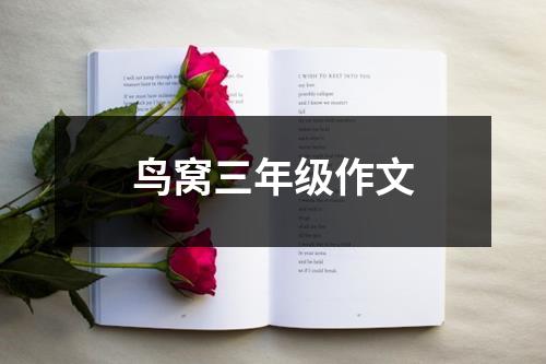 鸟窝三年级作文