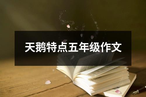 天鹅特点五年级作文