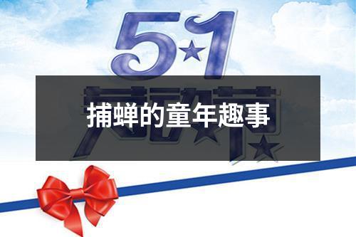 捕蝉的童年趣事