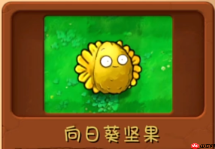 功能互补型融合