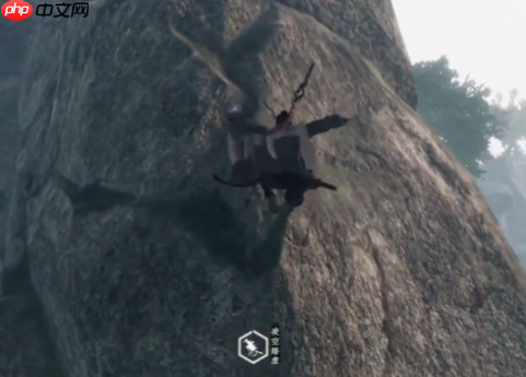 进阶采集技巧分享