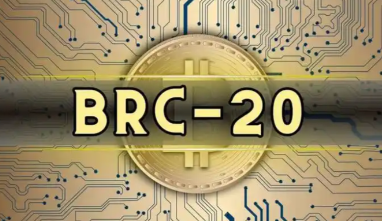 BRC-20标准详解比特币生态的创新与未来潜力