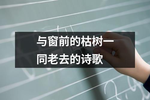 与窗前的枯树一同老去的诗歌