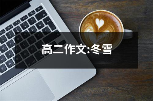 高二作文:冬雪