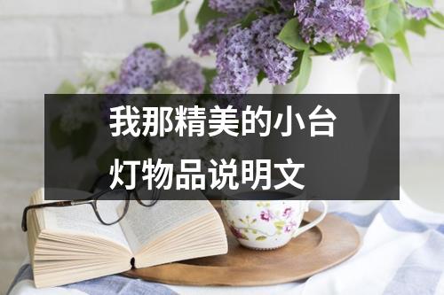 我那精美的小台灯物品说明文