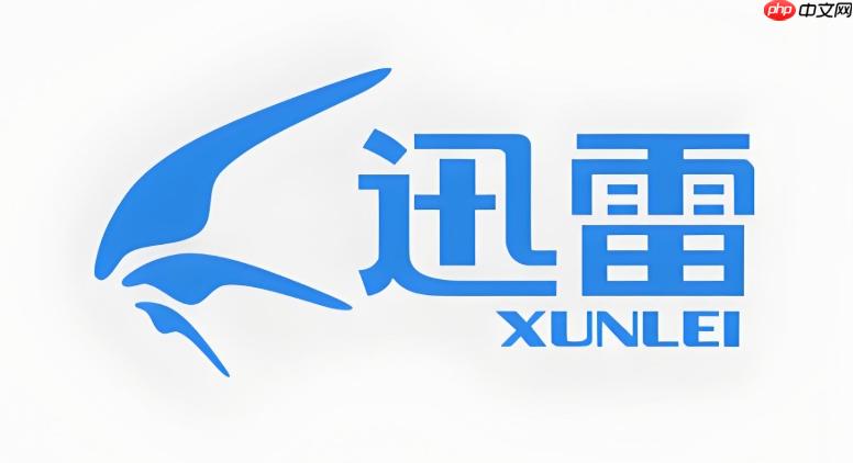 迅雷浏览器web版官网 迅雷浏览器在线使用