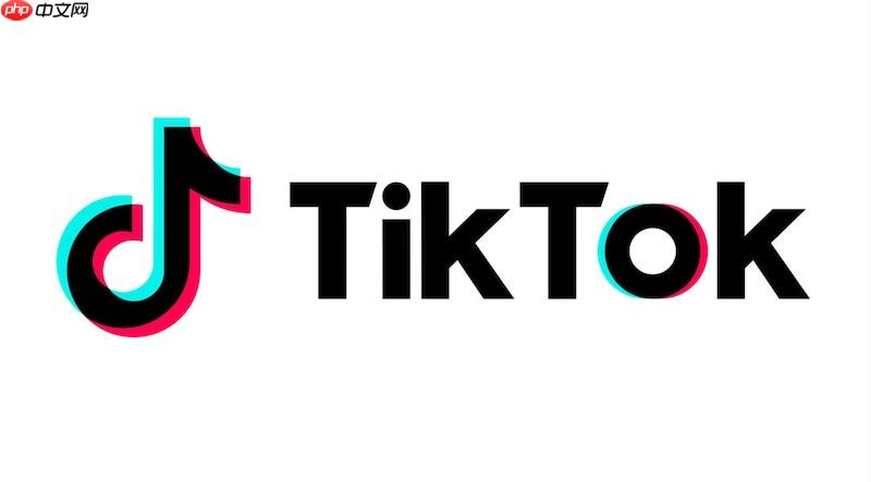 TikTok网页版账号快捷登录 TikTok官网一键登录入口