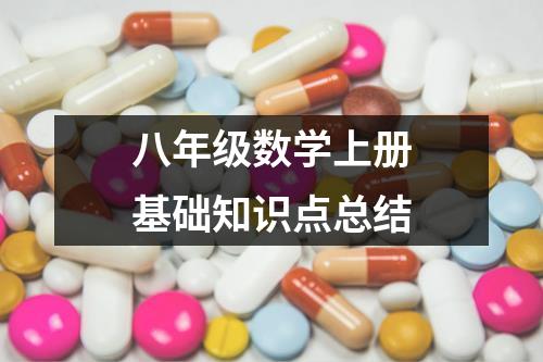 八年级数学上册基础知识点总结（精选19篇）