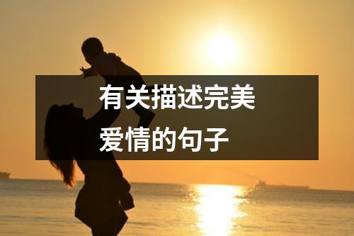 有关描述完美爱情的句子（合集5篇）