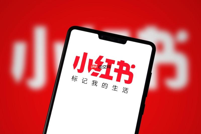 小红书搜不到商品怎么解决 搜索优化与刷新实用技巧