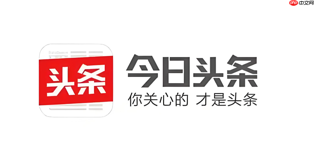 今日头条如何快速查看信用分 信用分查询详细指南