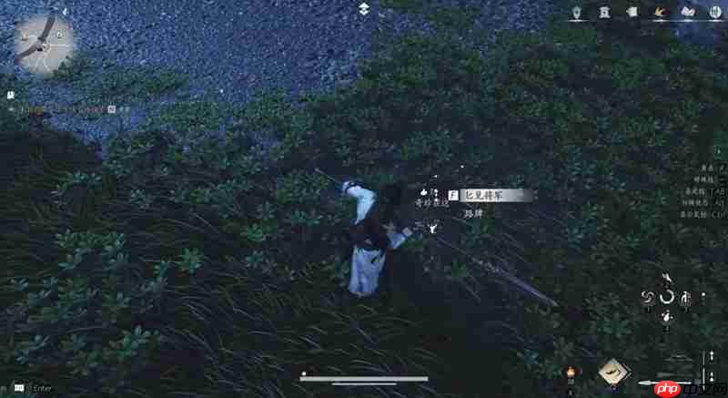 《燕云十六声》奇珍系统玩法介绍