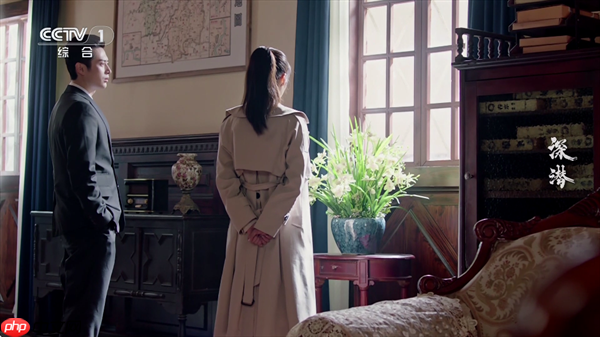 小飞电视TV央视频道查看入口