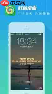 鲜柚桌面APP白屏闪退如何解决