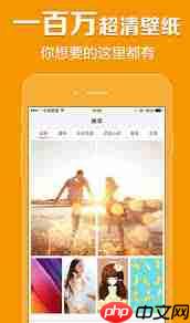 鲜柚桌面APP白屏闪退如何解决