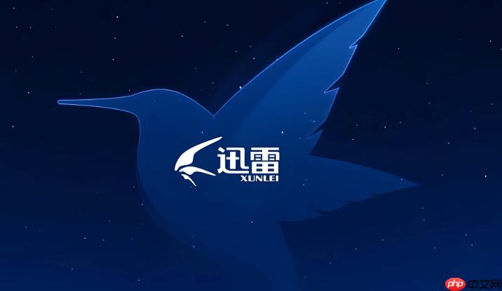 迅雷多维度下载监控界面