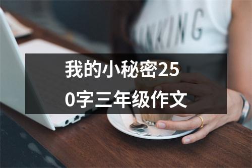 我的小秘密250字三年级作文