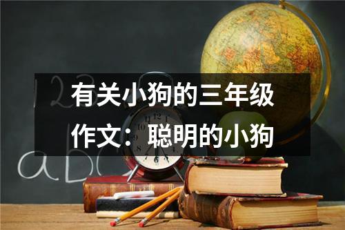 有关小狗的三年级作文:聪明的小狗