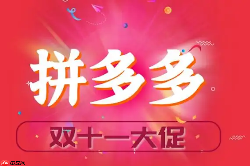 拼多多2025双11百亿补贴狂欢 京东低价好物限时精选