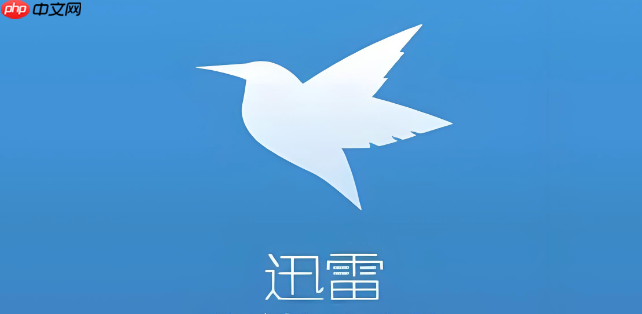 迅雷提示“应版权方要求无法下载”怎么解决 迅雷版权限制问题处理技巧