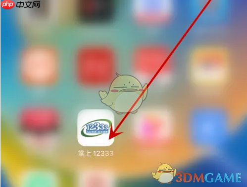 《掌上12333》社保卡补换全攻略