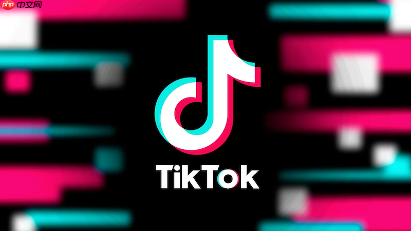TikTok官网入口详细教程 TikTok网页版账号安全登录指南