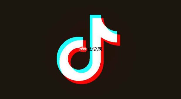 抖音国际版网页端 抖音TikTok网页版入口