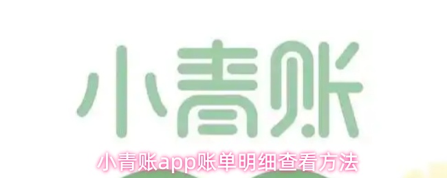 小青账app如何查看账单详情