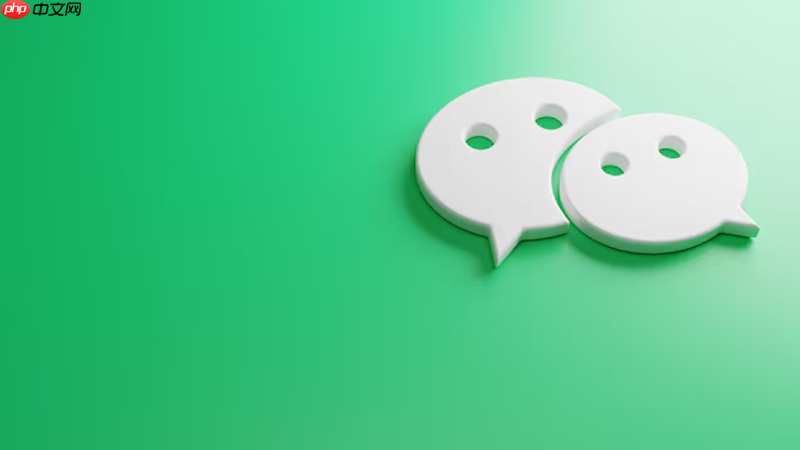 微信视频通话黑屏故障解决 修复方法与实用技巧全指南