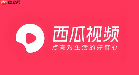 西瓜视频收不到登录验证码如何解决 西瓜视频登录验证码问题修复