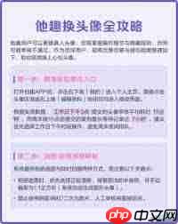 他趣如何更换头像