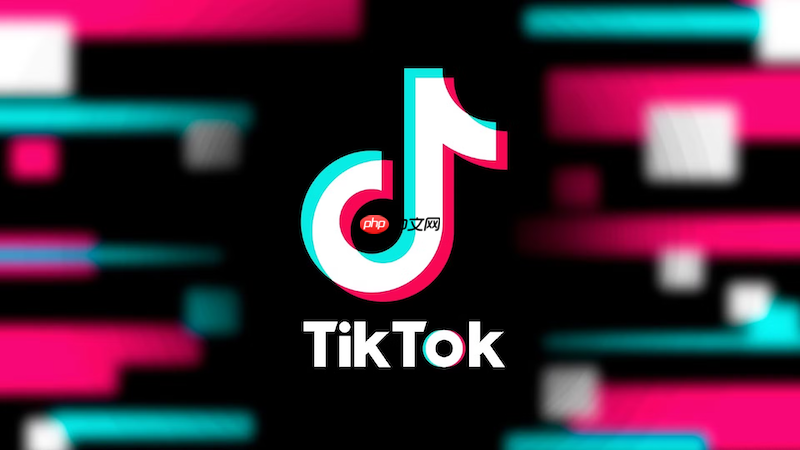 TikTok搜不到话题怎么办 TikTok话题搜索优化技巧全解析