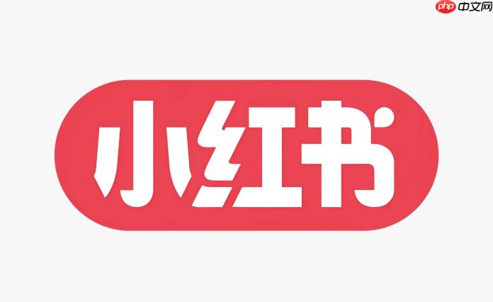 小红书网页版浏览入口 小红书网页版在线观看指南