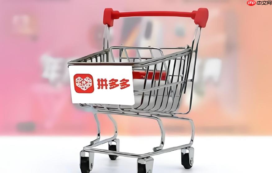 拼多多账号登录后无法操作如何解决 拼多多登录问题修复指南